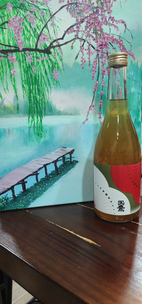 Tentaka Honkaku Umeshu 720ml