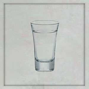 Sake Glasses